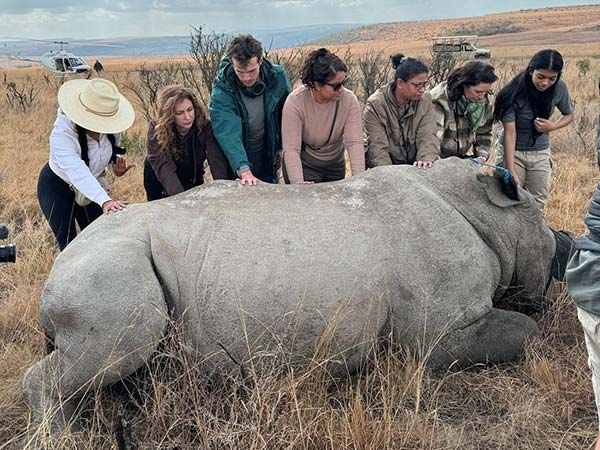 Aug-group-rhino-dehorning