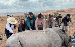 Group-rhino-dehorning-mission