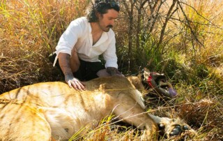 animal-conservation2