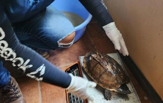 belize-wildlife-conservation3