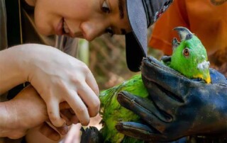 bird-help