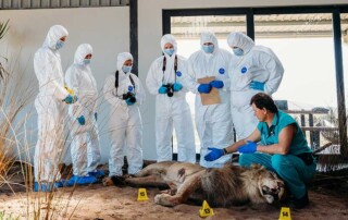 conservation-forensics