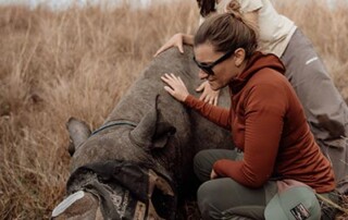 Veterinary Missions Veterinary Missions