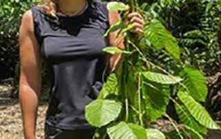 costa-rica-jungle-conservation