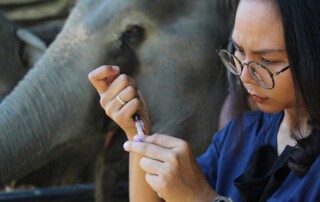 elephant-vet-mission