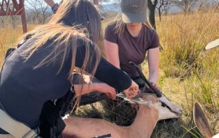 game-conservation