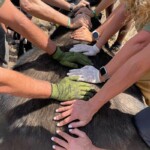 group-team-conservation Travel conservation