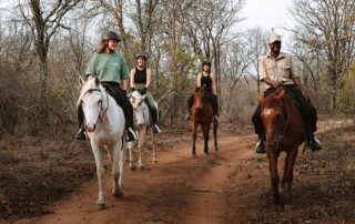 horse-riding-conservation-mission