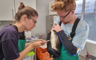 penguin-support