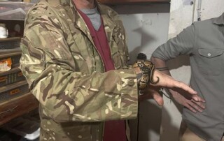 reptile-conservation