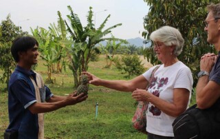 thailand-conservation2