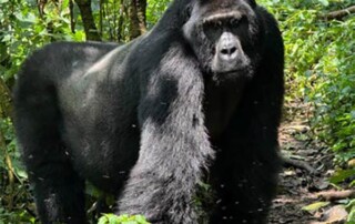 uganda-mission