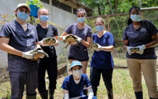 vet-rescue-mission