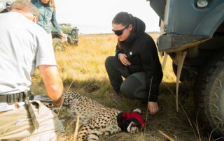 wildlife-conservation