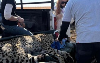 wildlife-conservation-trip
